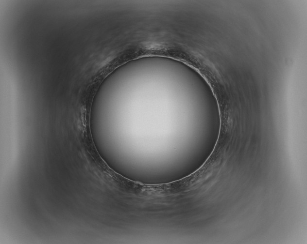 X0000113351301200909151145