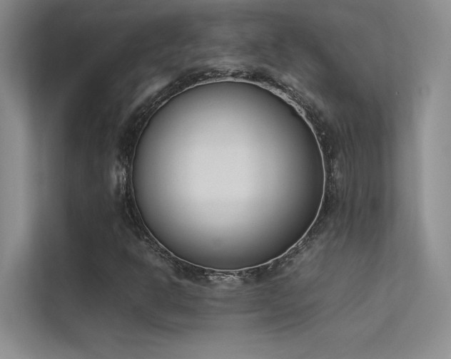 X0000113351302200909151145
