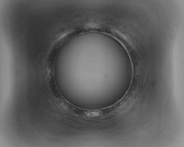 X0000113351303200909151145