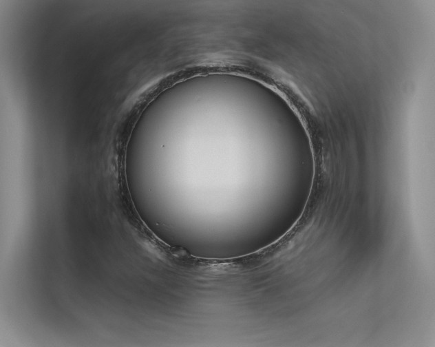 X0000113351304200909151145