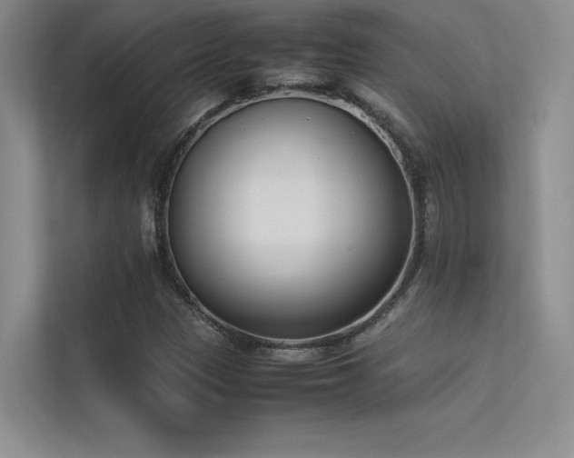 X0000113351305200909151145