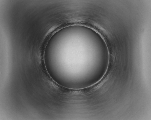 X0000113351306200909151145
