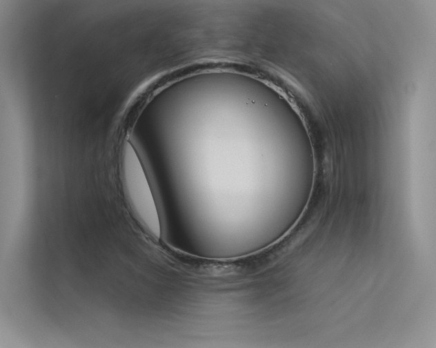 X0000113351310200909151145