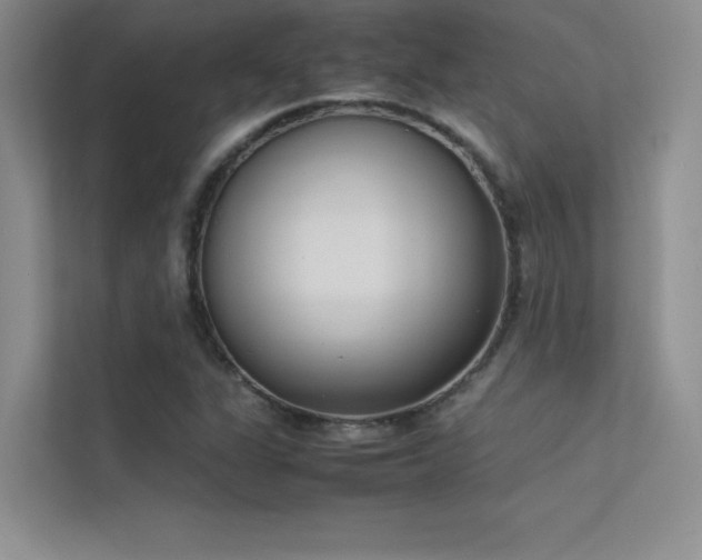 X0000113351311200909151145