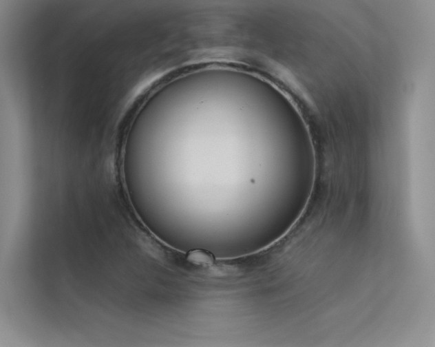 X0000113351312200909151145