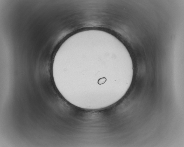 X0000113351314200909151145