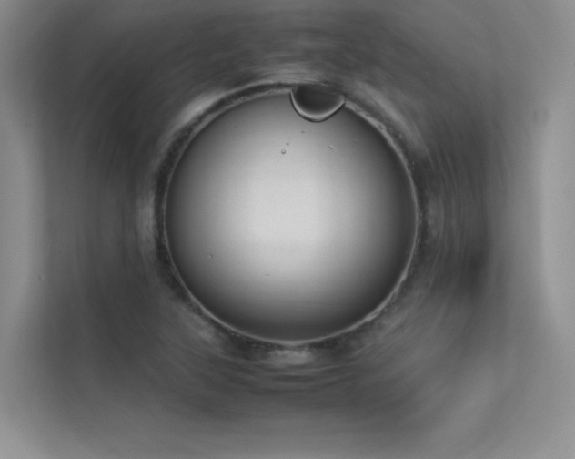 X0000113351315200909151145