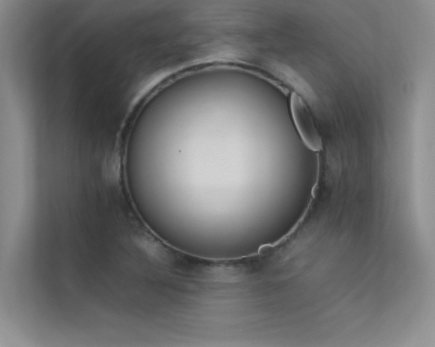X0000113351316200909151145