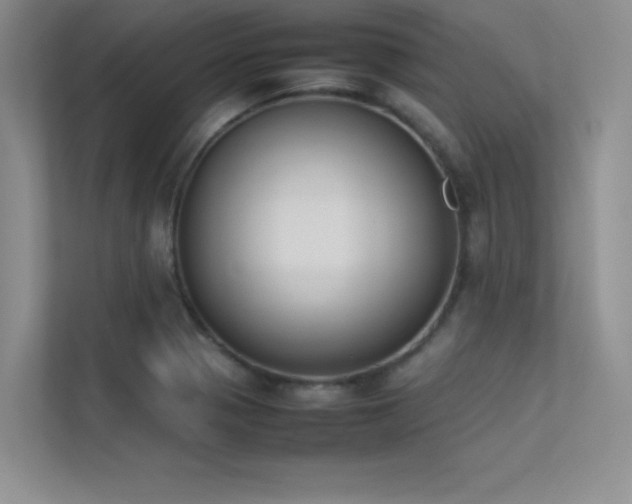X0000113351321200909151146