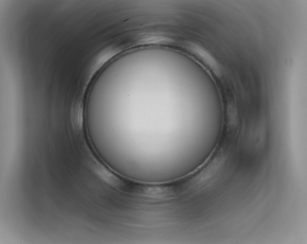 X0000113351322200909151146