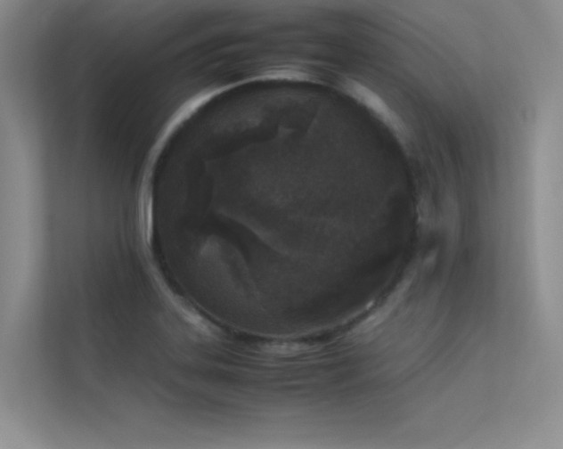 X0000113351323200909151146