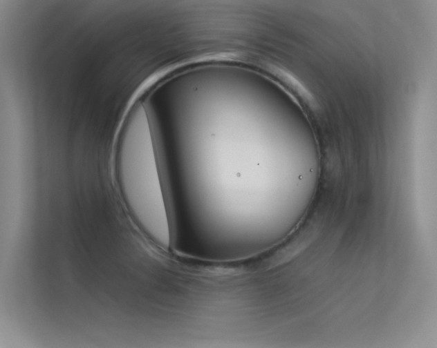 X0000113351324200909151146