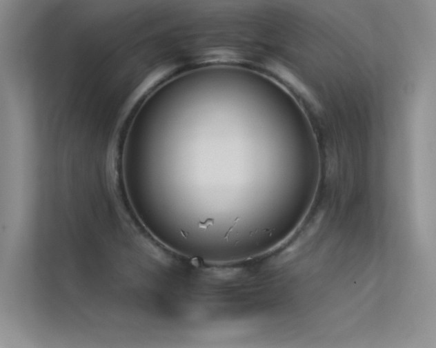 X0000113351325200909151146