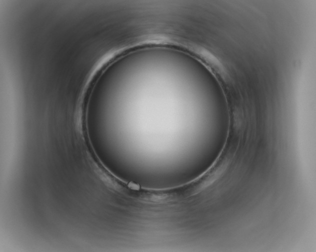 X0000113351326200909151146