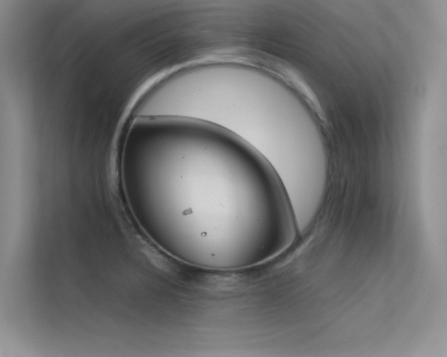 X0000113351328200909151146