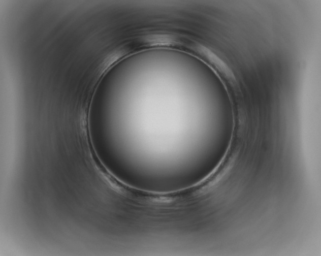 X0000113351329200909151146