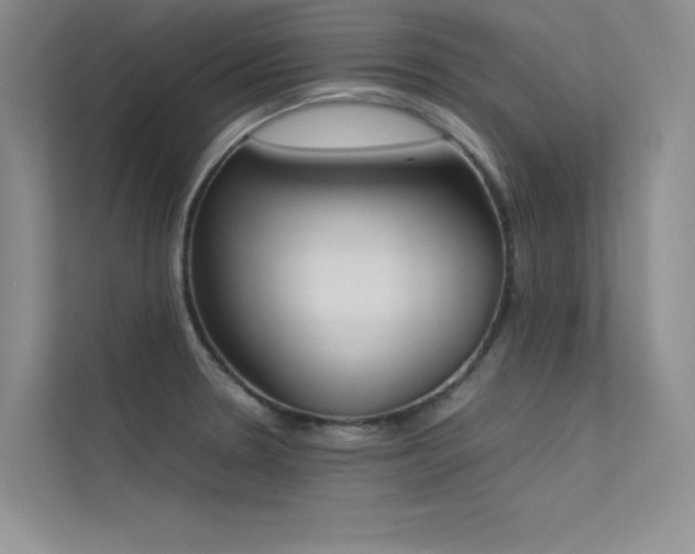 X0000113351330200909151146