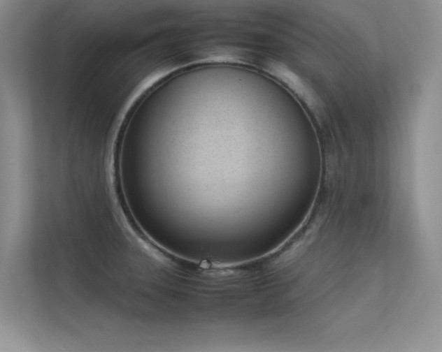 X0000113351331200909151146