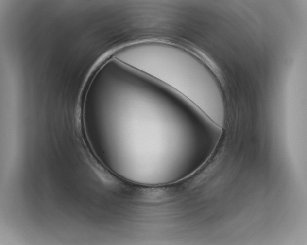 X0000113351332200909151146