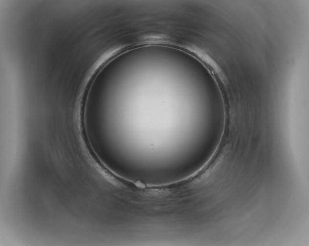 X0000113351333200909151146
