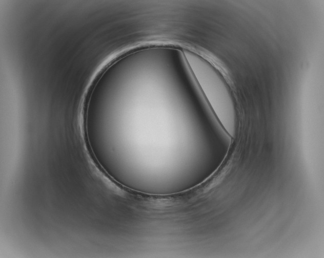 X0000113351334200909151146