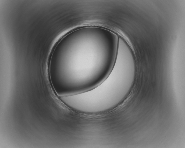 X0000113351336200909151146