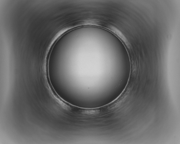 X0000113351339200909151146