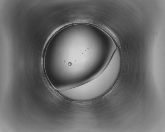 X0000113351340200909151146