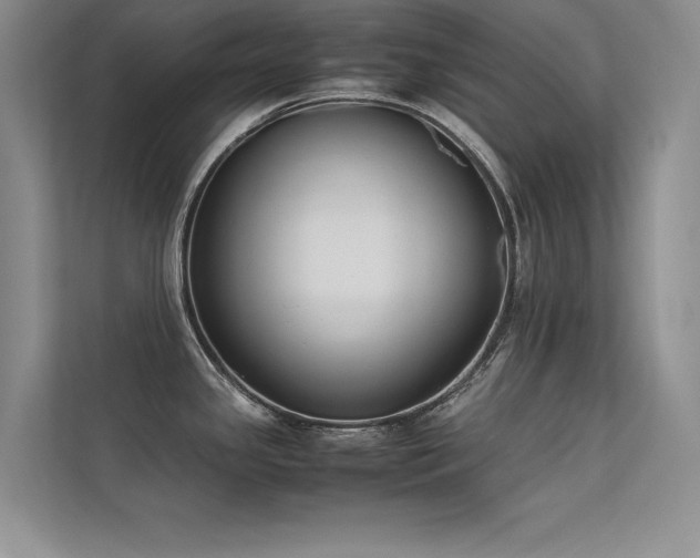 X0000113351341200909151146