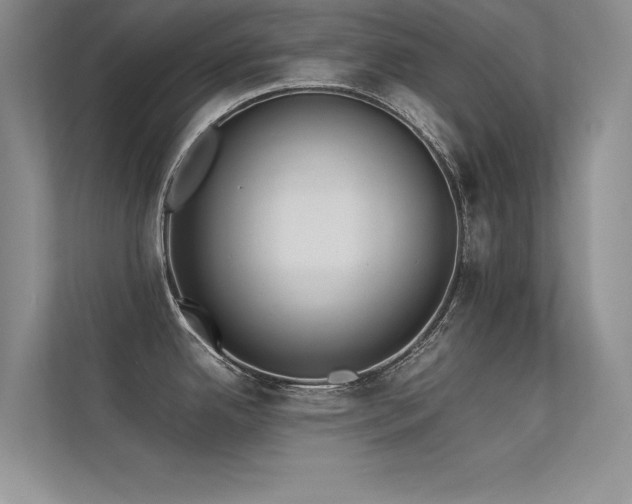 X0000113351342200909151146
