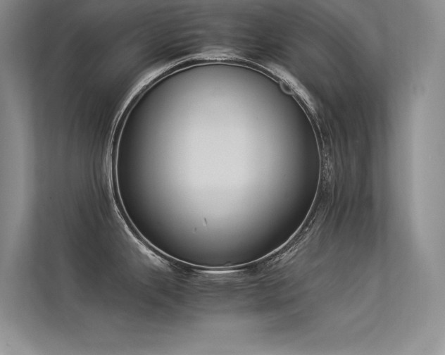 X0000113351343200909151146