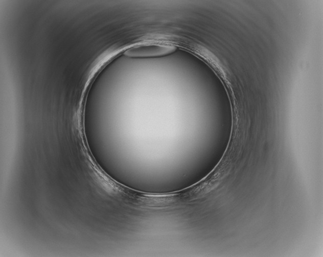 X0000113351344200909151146