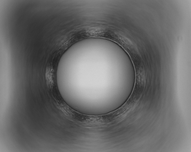 X0000113351346200909151145