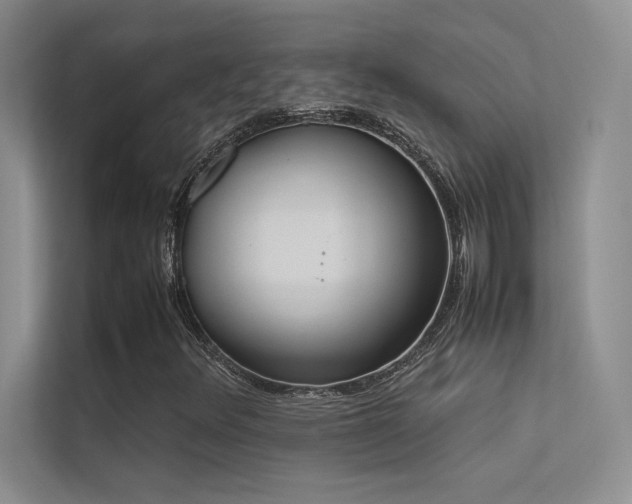 X0000113351348200909151145