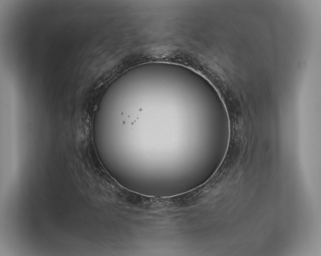 X0000113351349200909151145