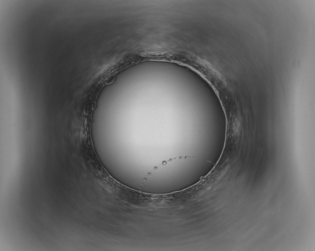 X0000113351350200909151145