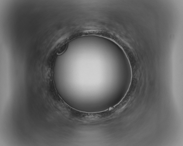 X0000113351351200909151145