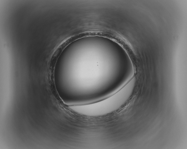 X0000113351352200909151145