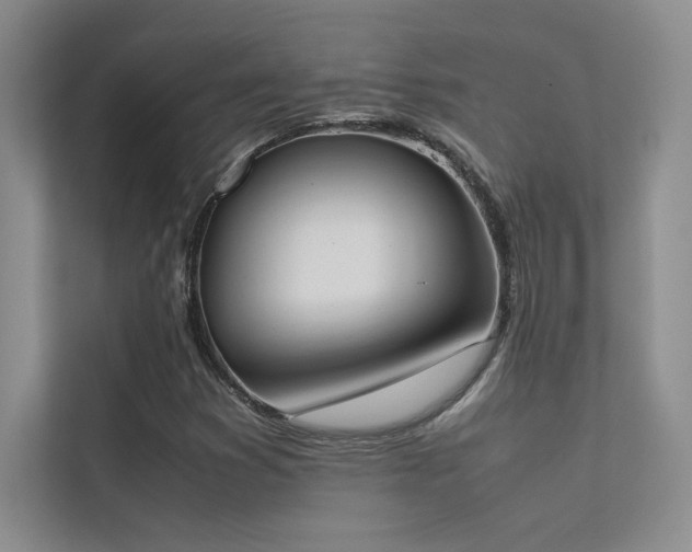 X0000113351353200909151145