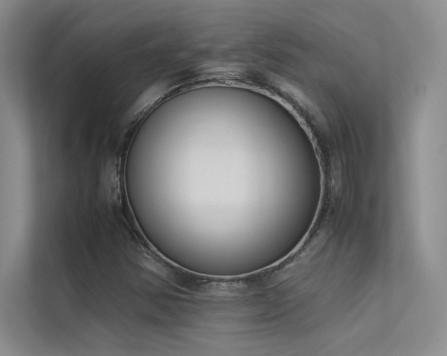 X0000113351354200909151145