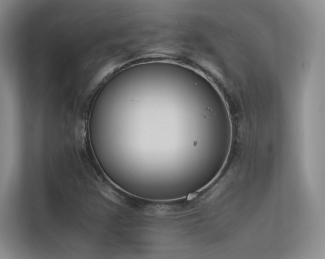 X0000113351355200909151145