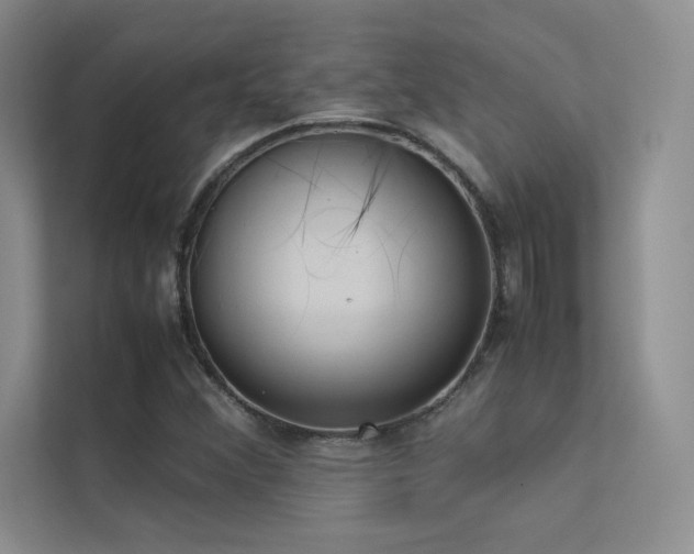 X0000113351356200909151145
