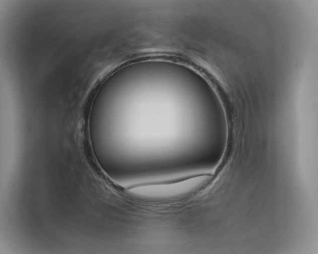 X0000113351357200909151145