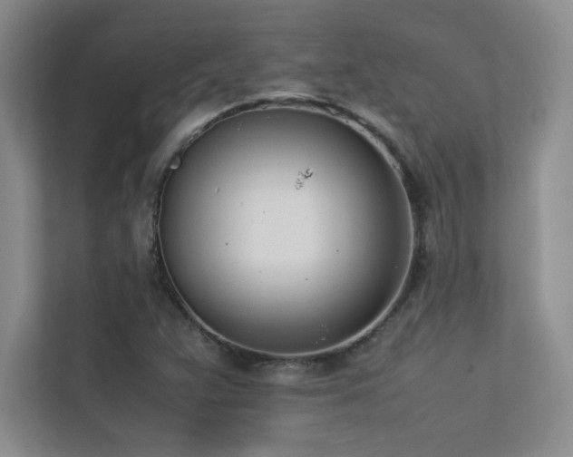 X0000113351359200909151145