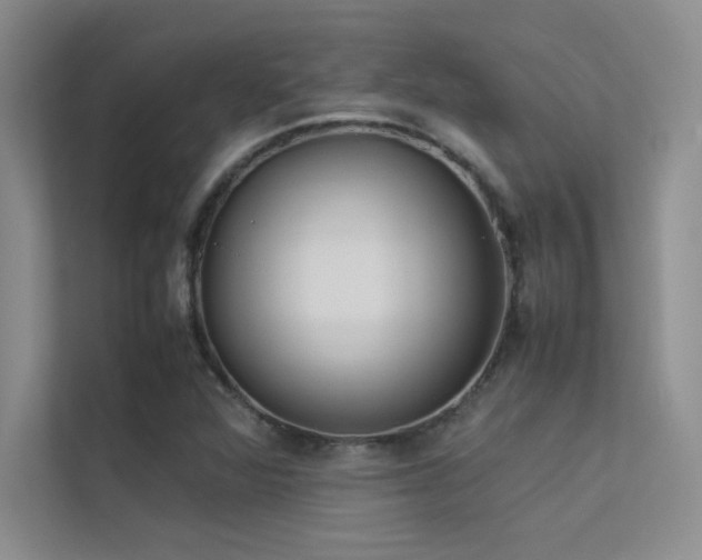 X0000113351360200909151145
