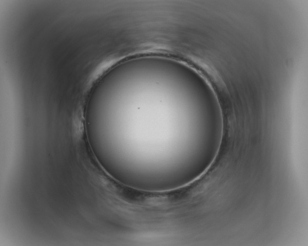 X0000113351363200909151145