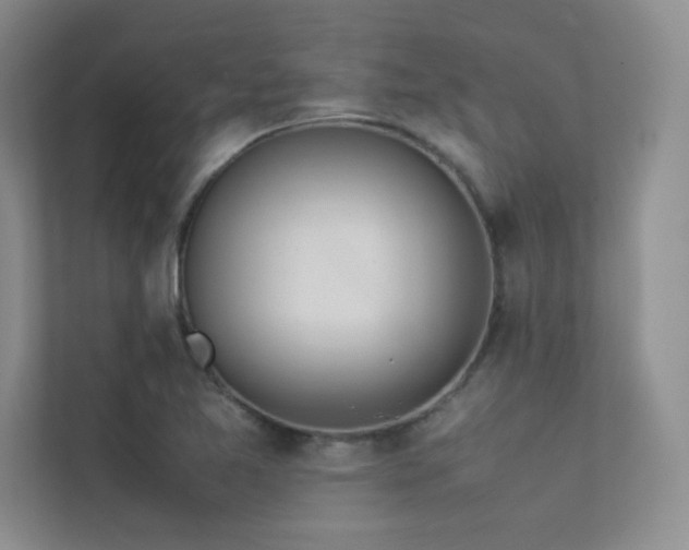 X0000113351365200909151145