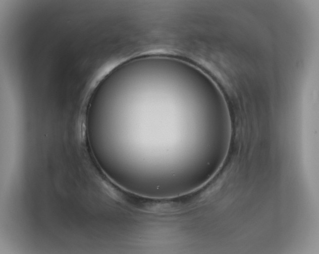X0000113351367200909151145