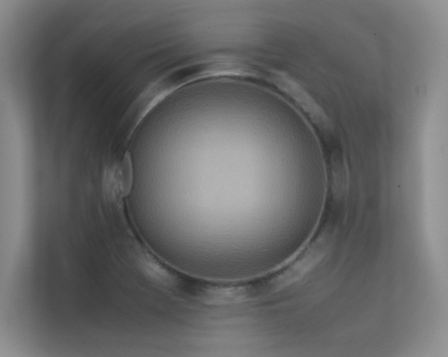 X0000113351369200909151145