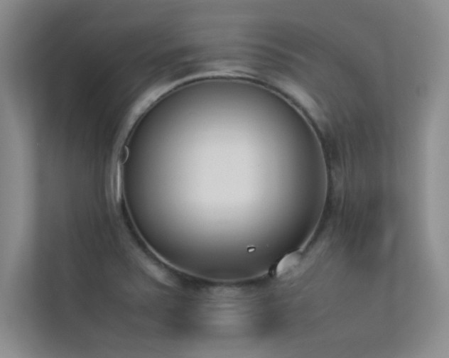 X0000113351371200909151145